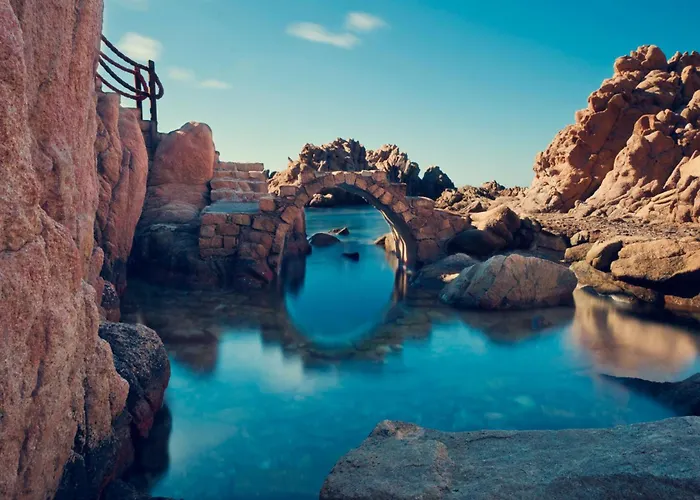 Elicriso * Costa Paradiso