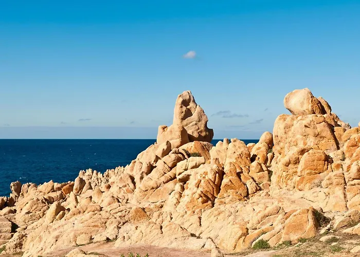 Elicriso * Costa Paradiso