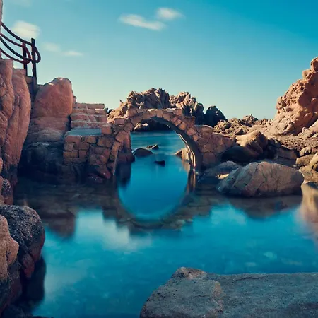 Elicriso * Costa Paradiso