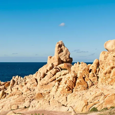 Elicriso * Costa Paradiso